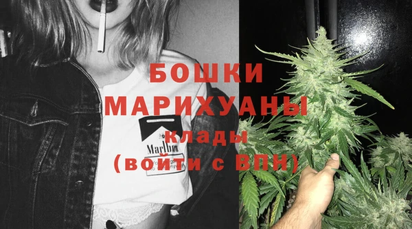 гидропоника Карталы