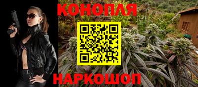 кокс Гай