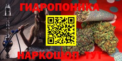 кокс Гай