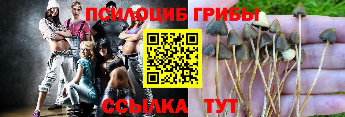 Псилоцибиновые грибы ЛСД Павлово