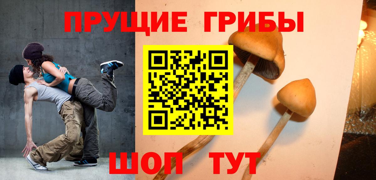 Павлово  Галлюциногенные грибы Cubensis  купить наркоту  Вход с VPN 